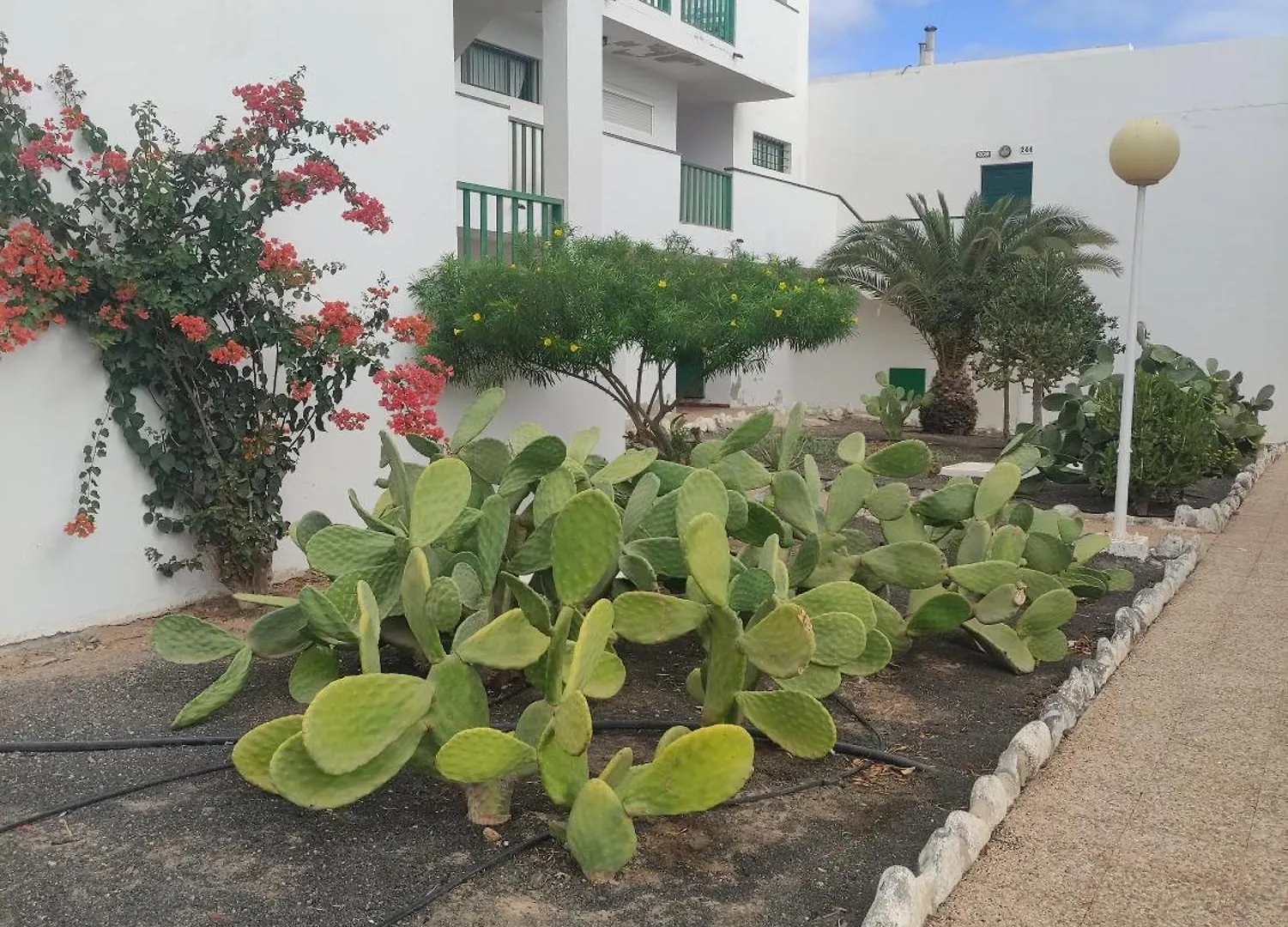 Casita Perla Blanca Διαμέρισμα Costa De Antigua Ισπανία