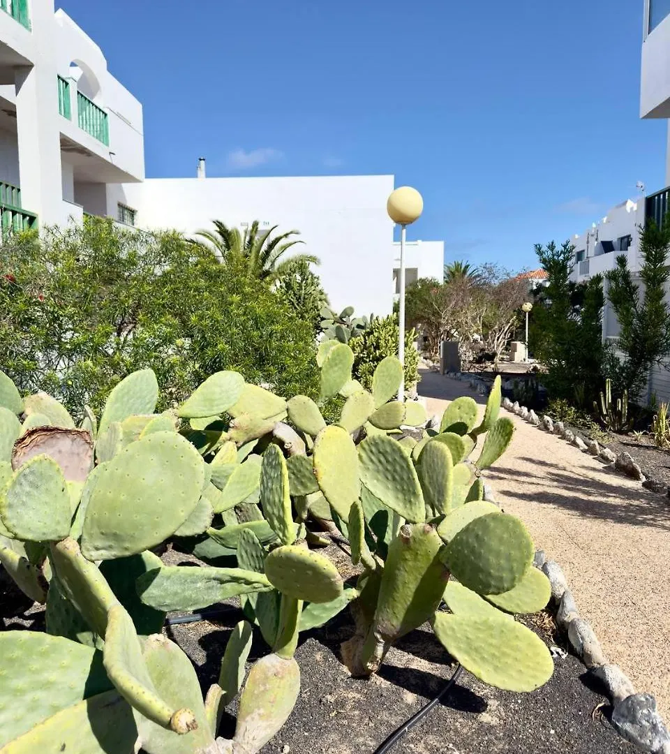 Casita Perla Blanca Διαμέρισμα Costa De Antigua Ισπανία